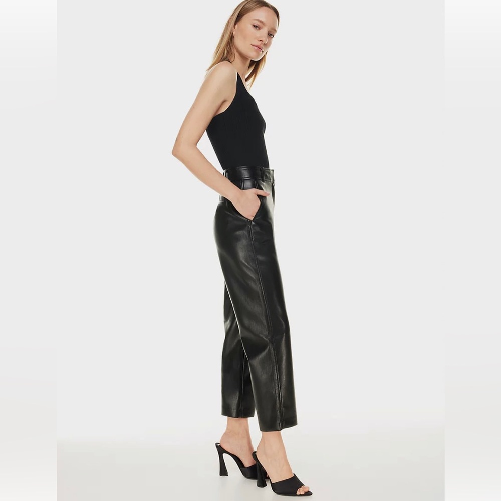 Aritzia Babaton Command Pants